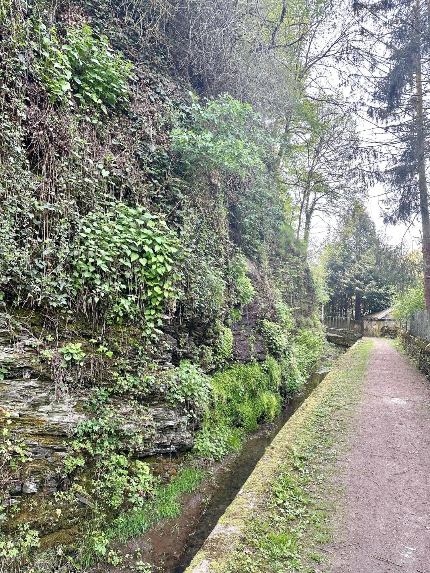 Ferienwohnungen-Traben-Trarbach Exterior foto